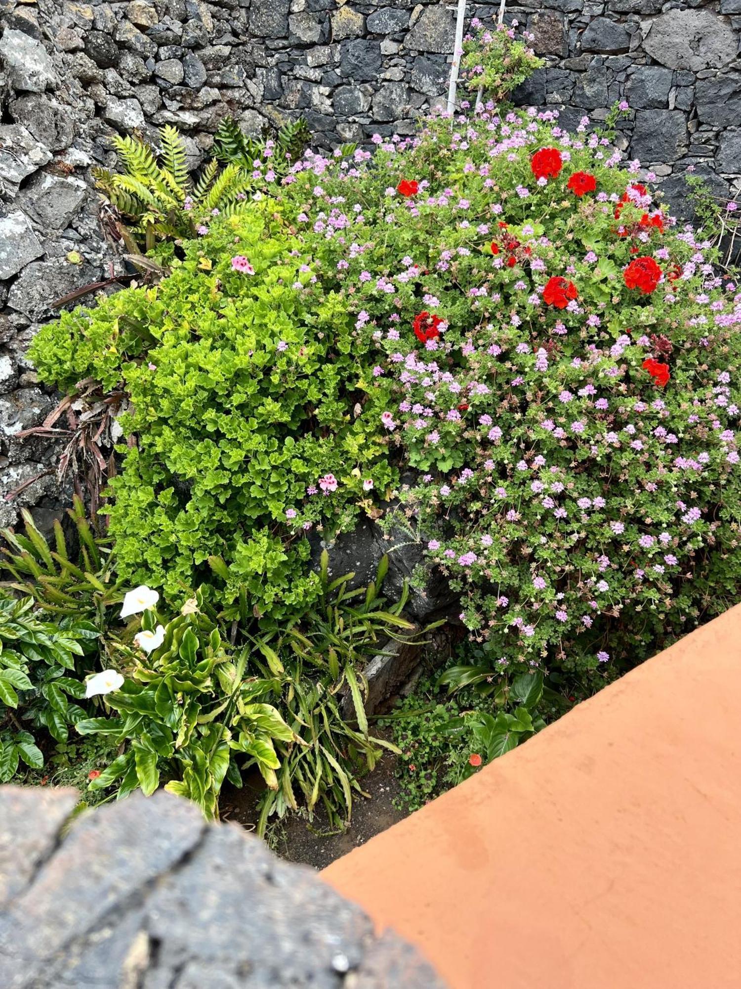 Cozy Rural House Las Guindas, El Hierro Erese Zewnętrze zdjęcie